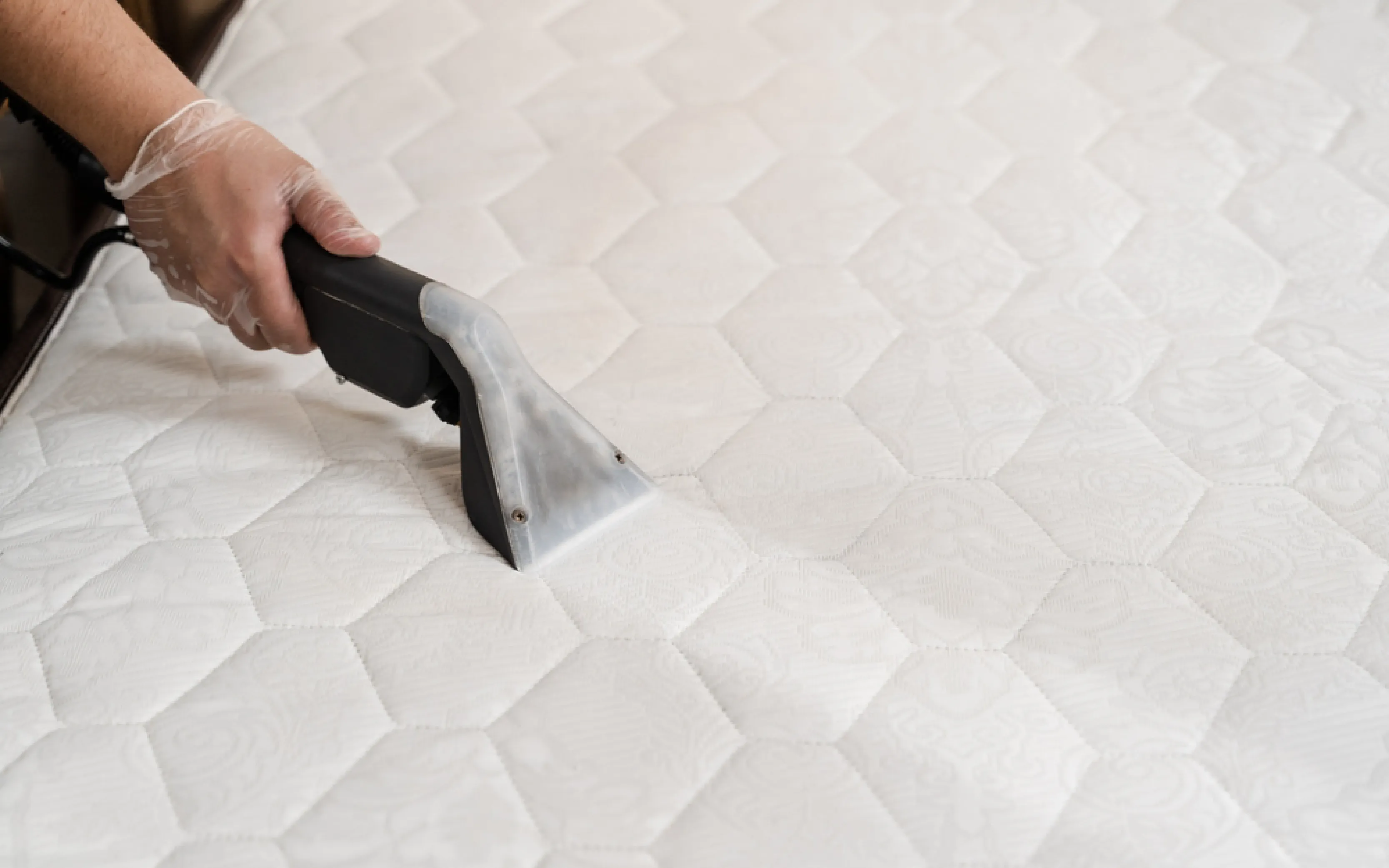 carpet cleaning in Queens, carpet cleaning services in Queens, carpet cleaning Queens, carpet cleaners in Queens, carpet cleaners services in Queens, commercial carpet cleaning, commercial carpet cleaning in Queens, Queens rug cleaners, rug cleaning services in Queens, same day carpet cleaning, same day rug cleaning