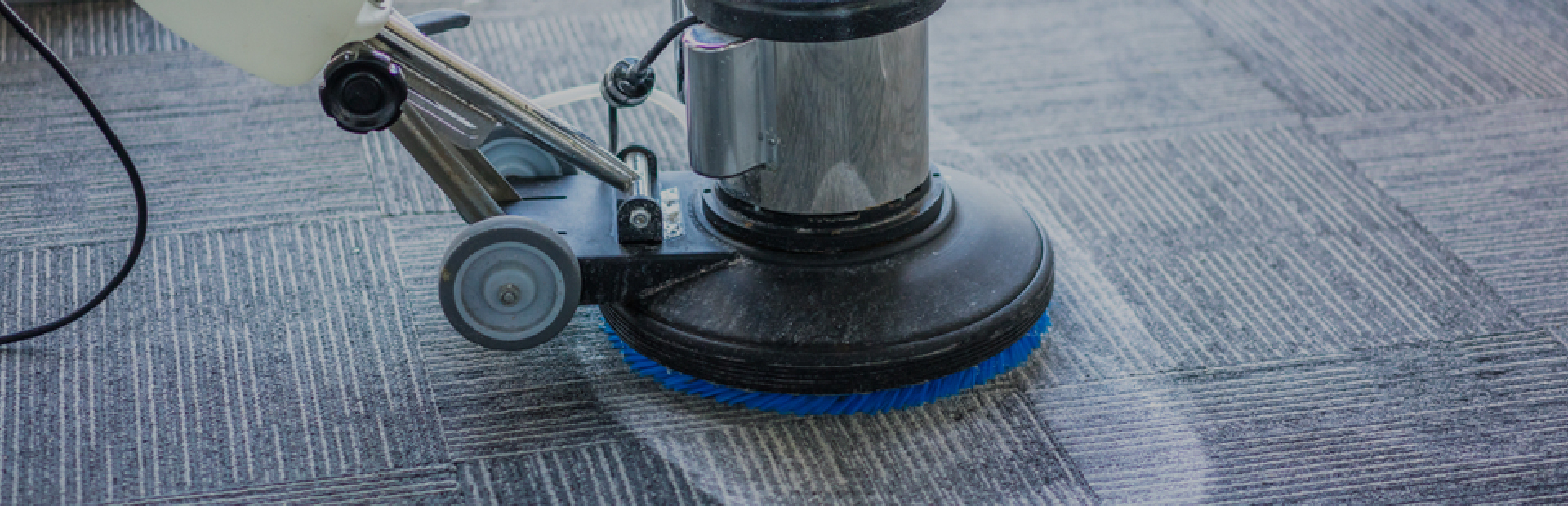 Area Rug Cleaners Queens 20 off and Carpet and Rug Cleaning services