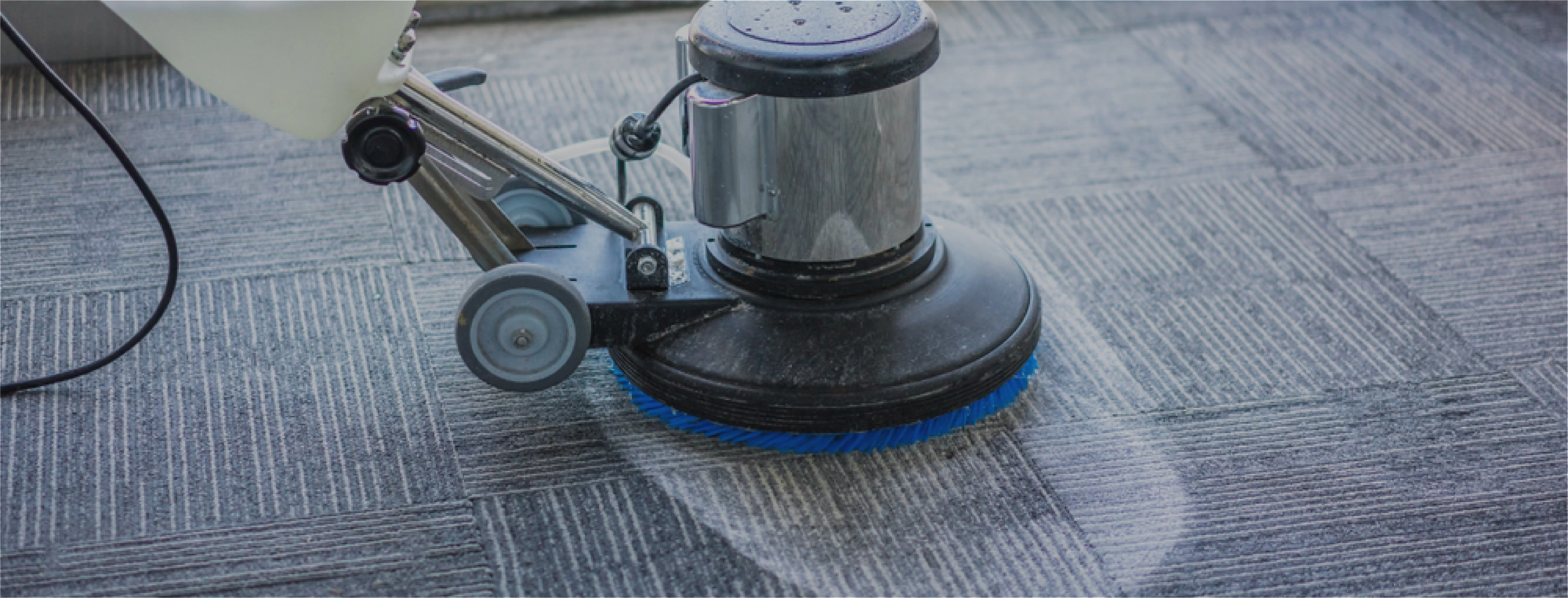 carpet cleaning in Queens, carpet cleaning services in Queens, carpet cleaning Queens, carpet cleaners in Queens, carpet cleaners services in Queens, commercial carpet cleaning, commercial carpet cleaning in Queens, Queens rug cleaners, rug cleaning services in Queens, same day carpet cleaning, same day rug cleaning